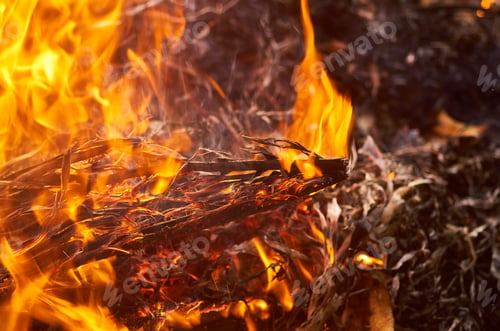 Preview: Flames of fire with smoke on a black background