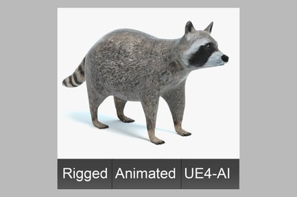 Preview: Animated Raccoon Character