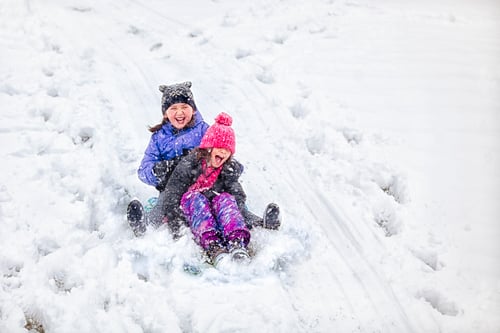 Preview: Friends tobogganing downhill