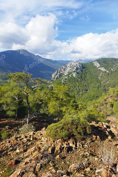 Preview: Scenic view of the mountain covered with green trees and plants with blue skies in the background