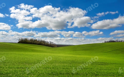 Preview: winter wheat field at Hills and fantastic cloudly sky