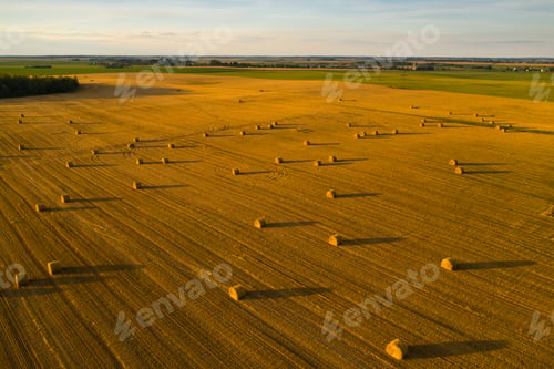 Preview: Straw bales on farmland with a blue cloudy sky.Harvested field with bales in Europe.Harvest.Belarus