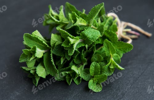 Preview: Fresh green mint
