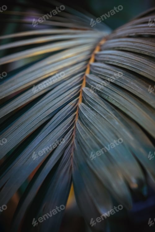 Preview: nature