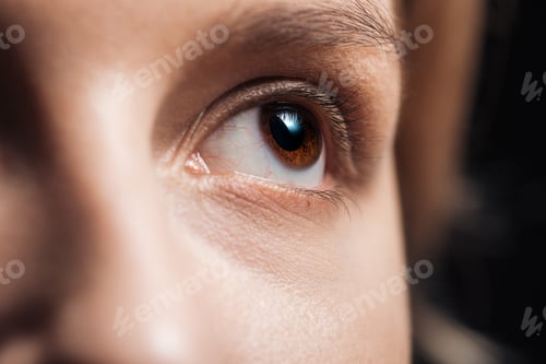 Preview: close up view of young woman brown eye looking away