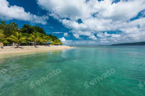 Preview: Beach with palm trees, tropical Efate island, Vanuatu