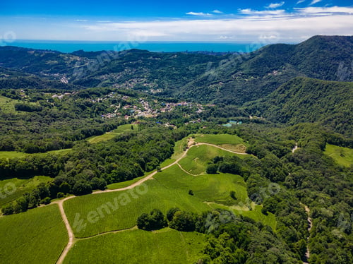 Preview: North Caucasus. Tea plantation in Matsesta. Aerial view. Sochi. Russia