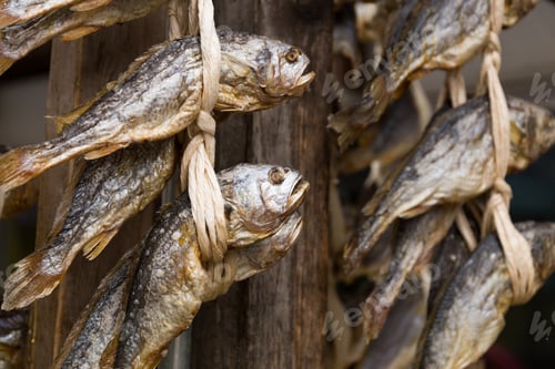 Preview: Dried salty fish hanging on the store