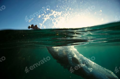 Preview: Underwater view with a person diving into the sea on a clear day.