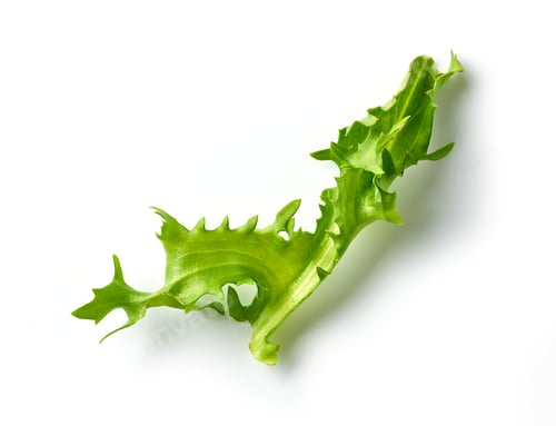 Preview: fresh green lettuce