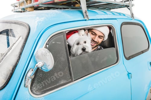 Preview: handsome man with little cute White Terrier in santa hats stick out from blue car window with