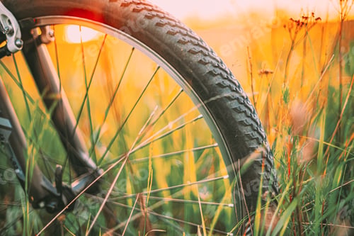 Preview: Bike Bicycle Wheel In Summer Green Grass Meadow Field. Close Up Detail. Sunset Sunrise Time Sunlight
