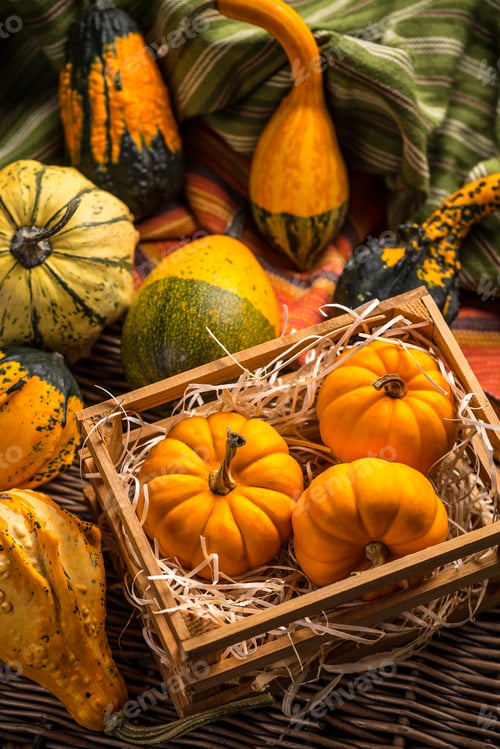 Fall Gourds and Pumpkins in Wooden Crate