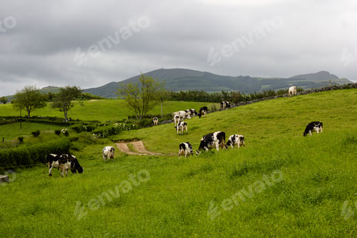 Preview: Breathtaking view of the Acores, Ilha de Sao Miguel, Portugal