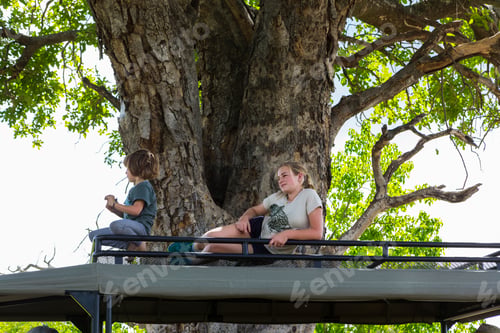 Preview: Two children resting on the observation platform of a safari jeep in the shade of a large tree.