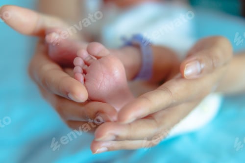 Preview: Parent holding in the hands feet of newborn baby, The love and generosity of a mother for her child.