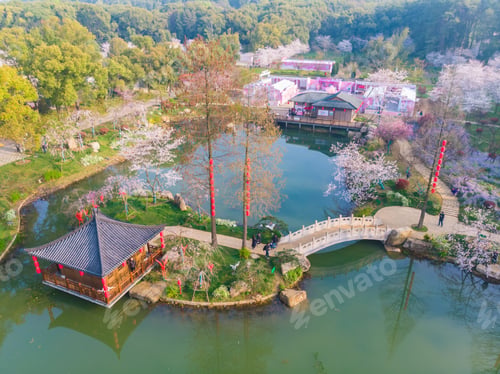 Preview: Spring scenery of East Lake Cherry Blossom Garden in Wuhan, Hubei, China