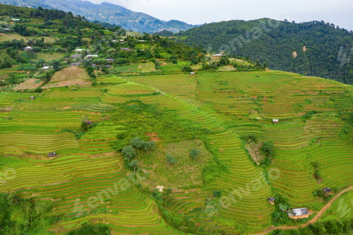 Preview: Paddy rice terraces, green agricultural fields in countryside of mountain hills valley, Vietnam.