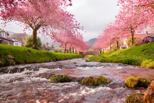 Preview: Riverside scene with Sakura trees, a charming cobblestone bridge