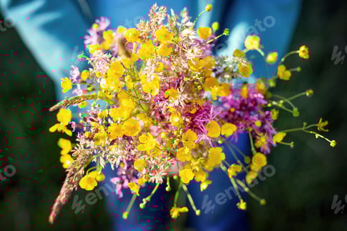 Preview: Bunch of field flowers