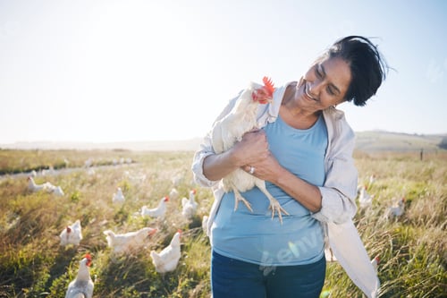 Preview: Farm, agriculture and a woman outdoor with a chicken for animal care, development and small busines