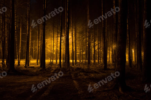 Preview: darkness, forest, horror, spooky