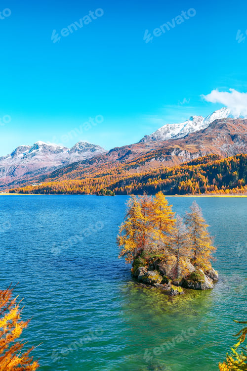 Preview: Picturesque autumn views of Sils Lake (Silsersee) with small islands