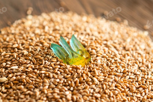 Preview: Wheat grains with yellow and blue Ukrainian flag on wooden background