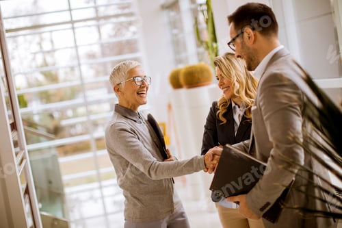 Preview: Young businessmen with senior and young businesswomen in office
