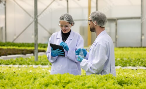 Preview: Hydroponic scientists assess solutions in flask, promoting sustainable growth with optimal nutrient