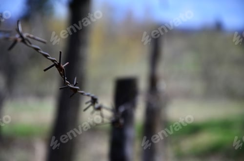 Preview: Macro shot of an element of old and rusty barbed wire with a blurred background