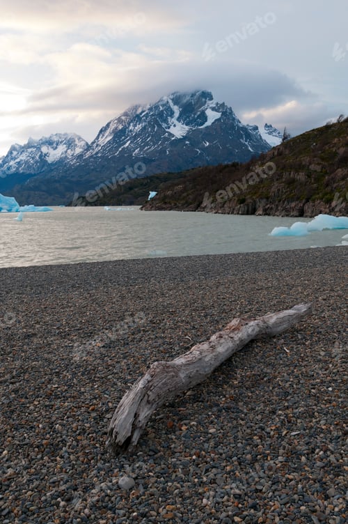 Preview: Driftwood on a pebble beach with a backdrop of majestic mountains and floating icebergs