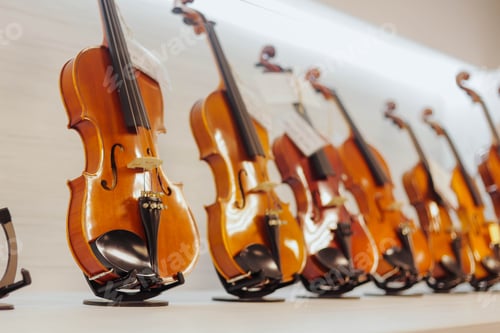Preview: Violins on shelve at music store. Close up.