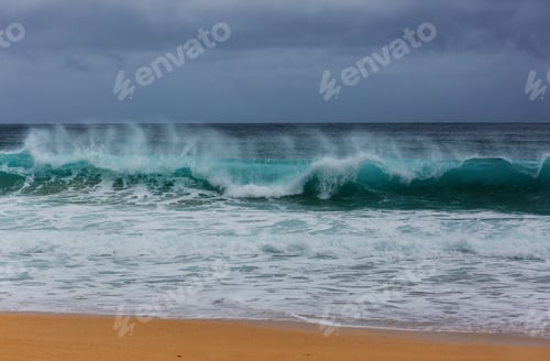 Preview: Wave