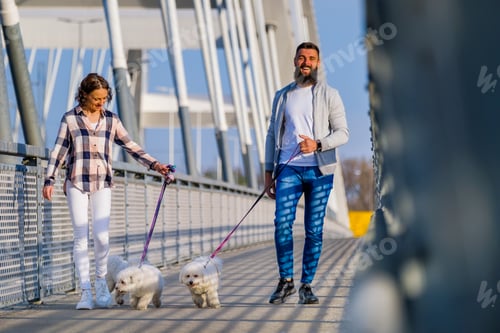 Preview: Smiling Couple Walks Dogs on a City Bridge