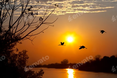 Preview: Sunrise over the Chobe River in Botswana - Africa