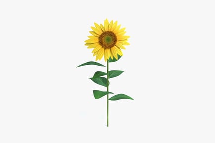 Preview: Sunflower with stem and leaves