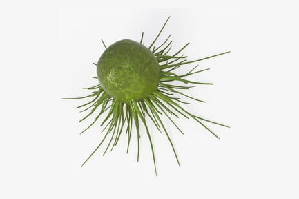 Preview: Green Malignant Cell with Protrusions