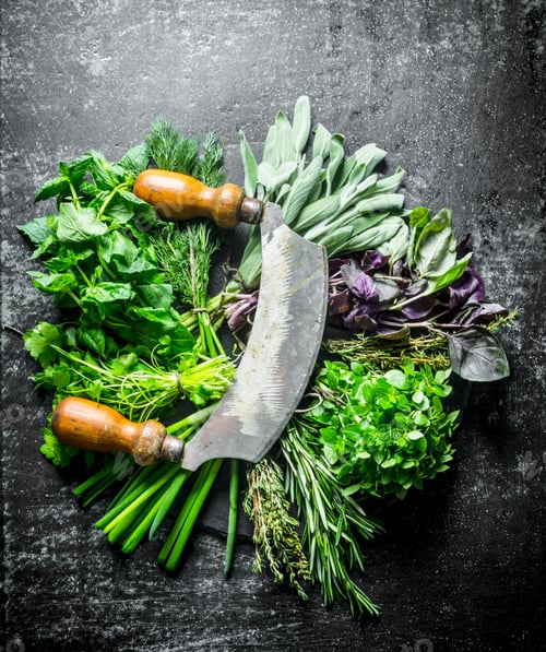 Preview: Freshly cut herbs for the salad.