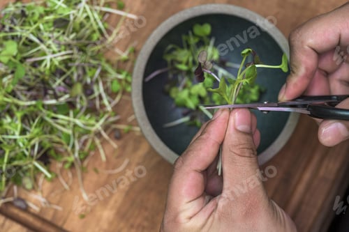 Preview: High angle shot of person chopping some vegetables into a bowl
