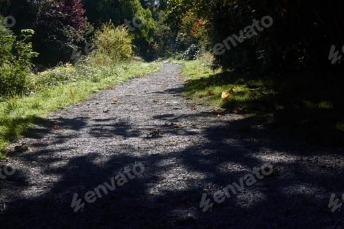 Preview: Gravel Path into the Sunshine