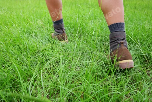 Preview: Hiking shoes on grass