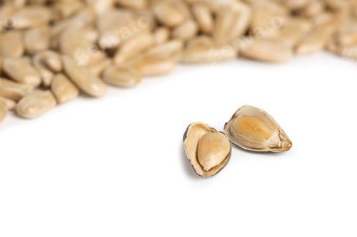 Preview: fresh sunflower seeds isolated