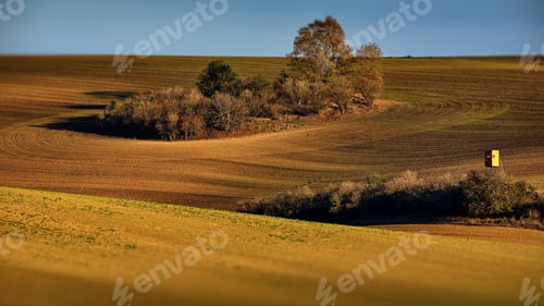 Preview: Fields of Moravia, Czech Republic