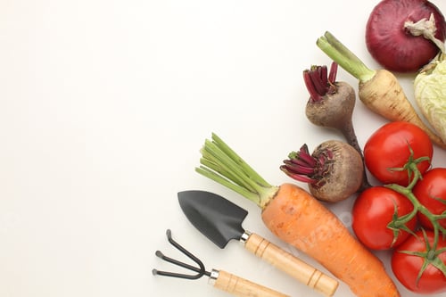 Preview: a fresh group of vegetables on white background