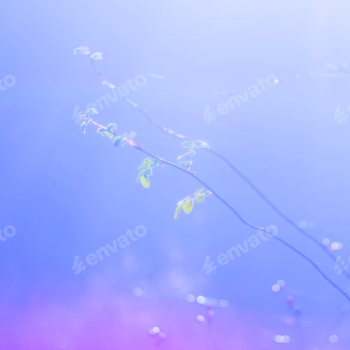 Preview: Tender dry leaves in blue light effect