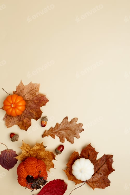 Preview: Autumn composition with maple leaves, decorative pumpkins and candles. Top view. Copy space