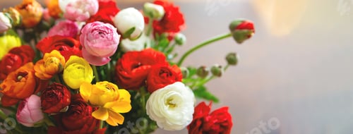Preview: Fresh buttercup flower bouquet, colorful herbaceous plant background, close up