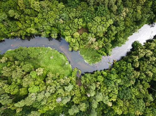 Preview: Aerial view of kayaking on river in wildlife, Poland