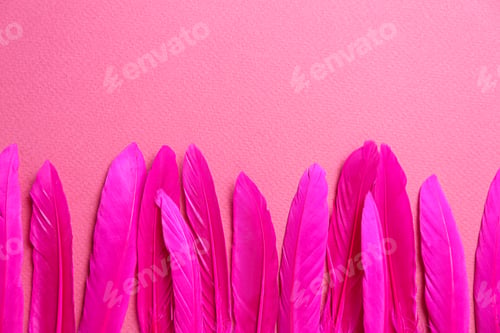 Preview: Bright beautiful feathers on pink background, flat lay. Space for text